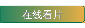 在线看片